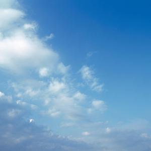 爱情是一种独特的味道