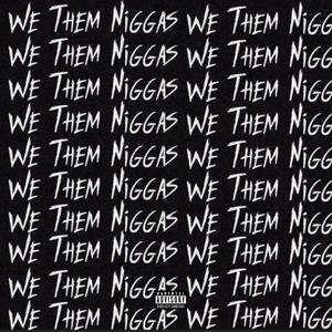 We Them Niggas (feat. NoLimitDezzy)