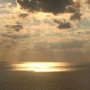 The Commitments 追梦者