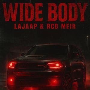 Wide Body (feat. Rcb Meir)
