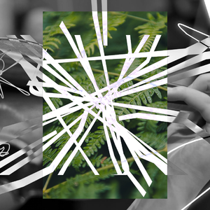 Shoulders (Nikyi remix)