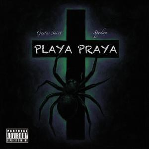 Playa Praya (Remix)