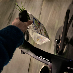 就让我在春风沉醉的夜晚老去