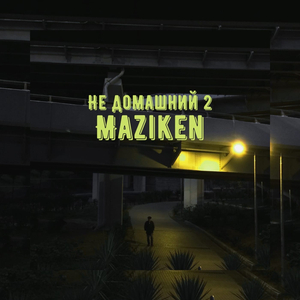 Не домашний 2