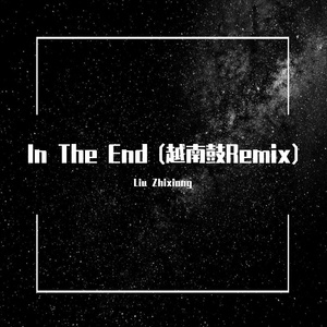 In The End (越南鼓Remix)