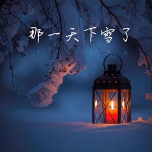 那一天下雪了