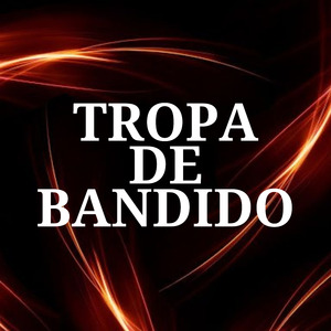 Tropa de Bandido