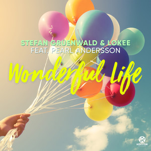 Wonderful Life (Radio Edit)