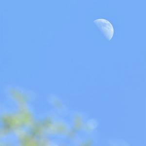 风吹麦浪（cover：李健/孙俪）