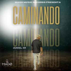 Caminando (feat. mago music records & El De La Jm)