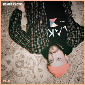 No One Knows (feat. Joy Camp)