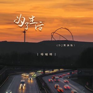 为了生活 (DJ版)