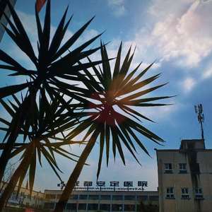 写给我第一个喜欢的女孩的歌