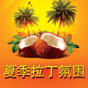 夏日鸡尾酒小岛律动完整版