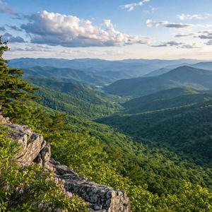 Peace, Love, and Pedophilia