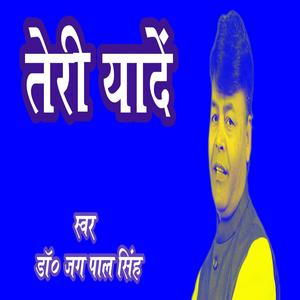 TERI YAADEIN