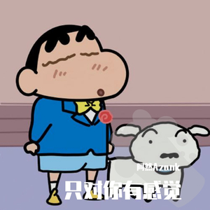 只对你有感觉
