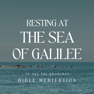 Resting at The Sea of Galilee (Instrumental)
