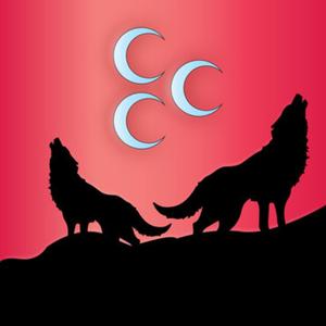 Bozz (feat. Bozkurt Rap)