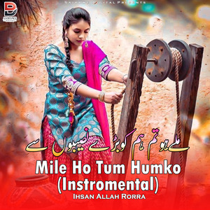 Mile Ho Tum Humko (Instrumental)