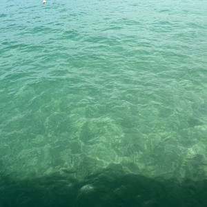 普普通通（prod by fakeblood）