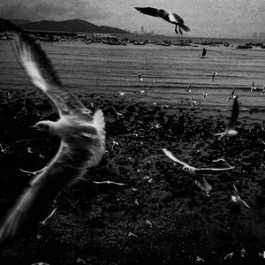 伤痕终将化为羽翼