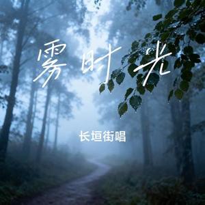 雾时光 (Cover 刘雨昕)
