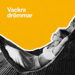 Skogsnätter (Omgivande)