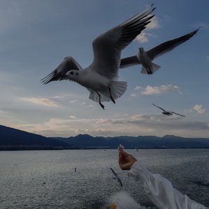 与未来财运同行