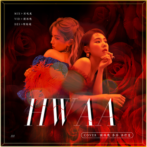 화(火花)中韩版