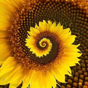 Beleza