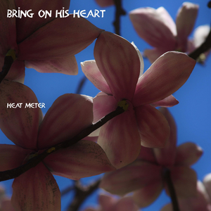 Apartment Renovation