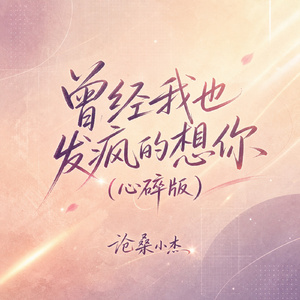 曾经我也发疯的想你(心碎版)