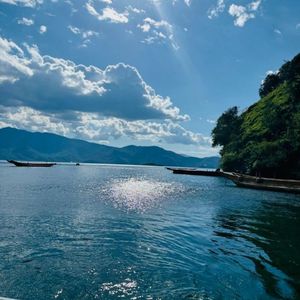 毕业季的纽约梦