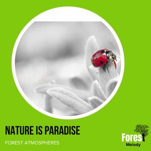 Rain after Math at Cave Entrance