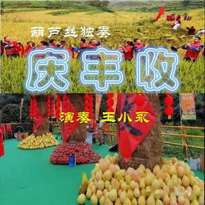 庆丰收（葫芦丝独奏）