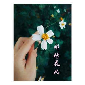 那些花儿（Cover 范玮琪）