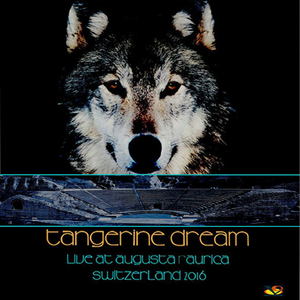 Love On A Real Train