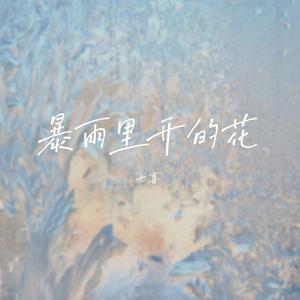 暴雨里开的花 (DJ Eva版)