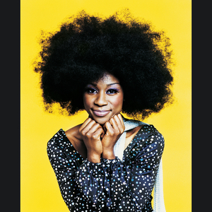 Under the Night Lights