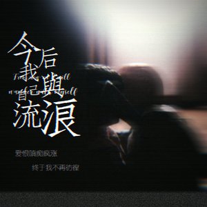 今后我与自己流浪   DH同人填词