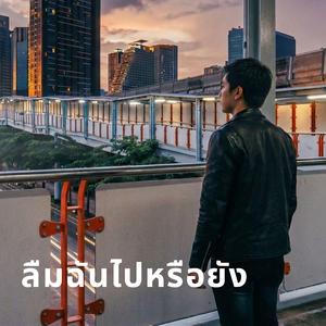 ลืมฉันไปหรือยัง