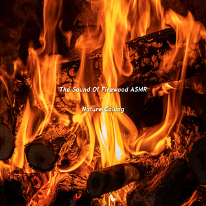 장작불소리 ASMR