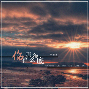 伤得那么彻底 (DJ版)