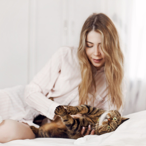 Harmonic Cat Comfort