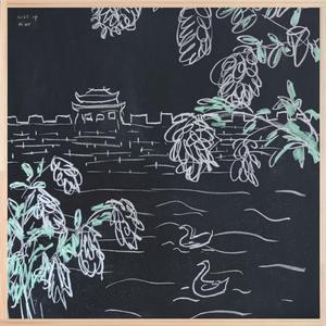 护城河两岸，洋槐花开时