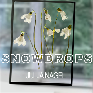 Snowdrops