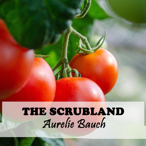 THE SCRUBLAND