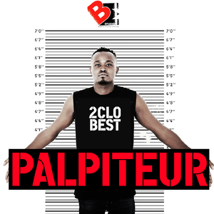 Palpiteur