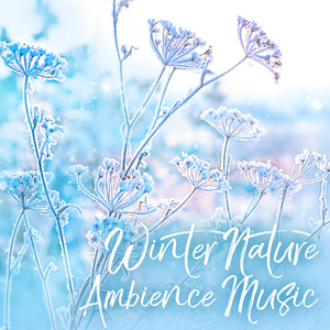 Blisfull Melodies